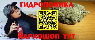 мяу мяу мука Краснознаменск