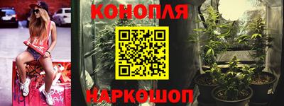 мяу мяу мука Краснознаменск