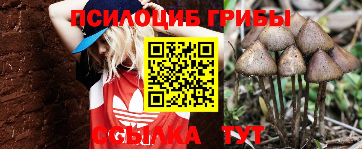 Галлюциногенные грибы ЛСД Кострома
