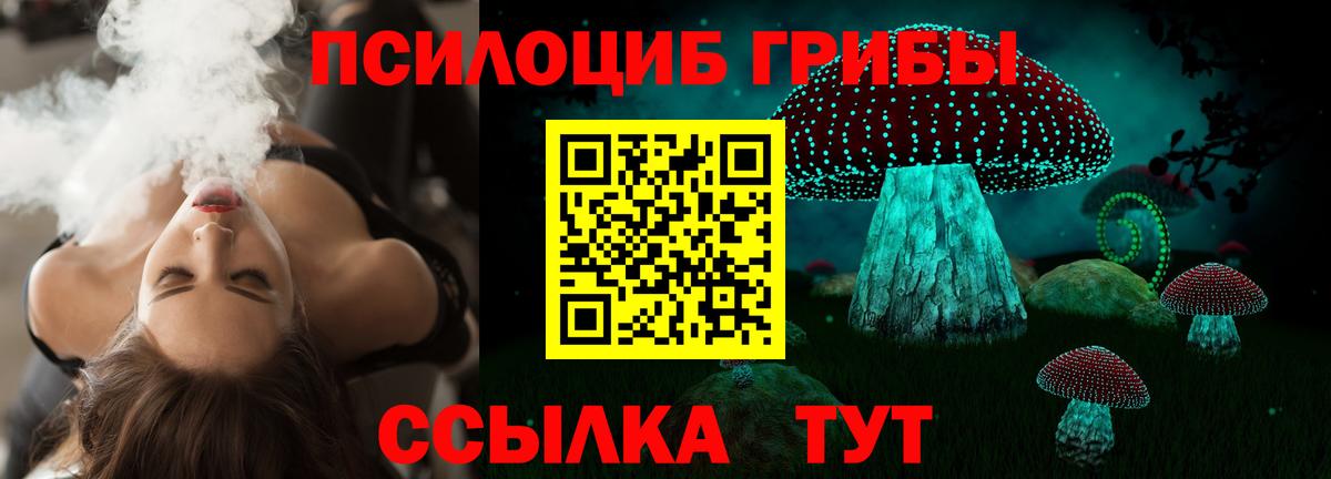 закладка  Псилоцибиновые грибы Cubensis  Вход с VPN  Кострома 